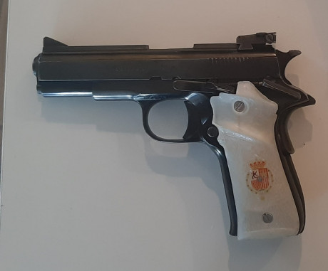 Vendo pistola Llama cal. 22. LR.
Buen estado.
Guiada en F.
300€.
Telf. 650 82 27 58. 32