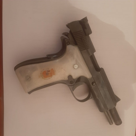 Vendo pistola Llama cal. 22. LR.
Buen estado.
Guiada en F.
300€.
Telf. 650 82 27 58. 31