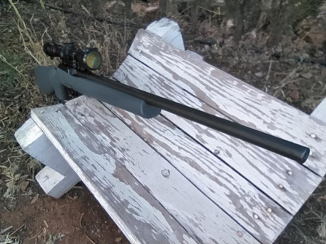 Pongo en venta mi Remington modelo 597 calibre 22lr., el motivo es que no lo uso. Cuando lo compré tire 50