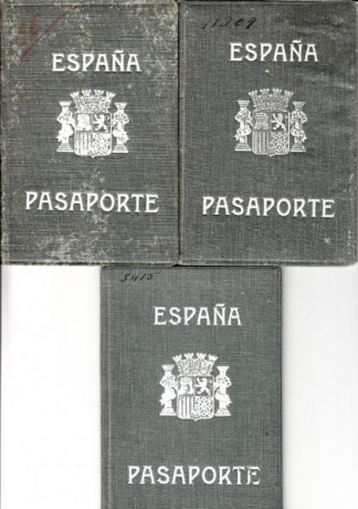  EN RECUERDO Y HOMENAJE A LOS QUE YA NO ESTÁN. 

Si pones en  GOOGLE   PASAPORTES EN LA MEMORIA  da igual 82