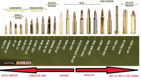 Venga a mojarse...
Cual elegirias como unico rifle,el 8 va sabrado de todo,la unica pega que le veo es 60