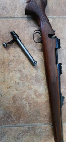 Vendo remington 700 calibre 243 W
Tengo unas 50 vainas y 200 proyectiles de 100 grains PRVI

Estoy abierto 02
