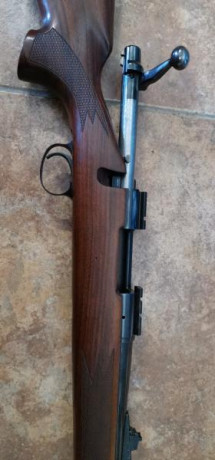 Vendo remington 700 calibre 243 W
Tengo unas 50 vainas y 200 proyectiles de 100 grains PRVI

Estoy abierto 01