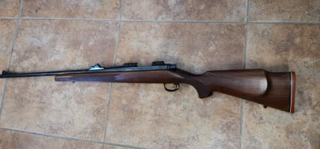 Vendo remington 700 calibre 243 W
Tengo unas 50 vainas y 200 proyectiles de 100 grains PRVI

Estoy abierto 00