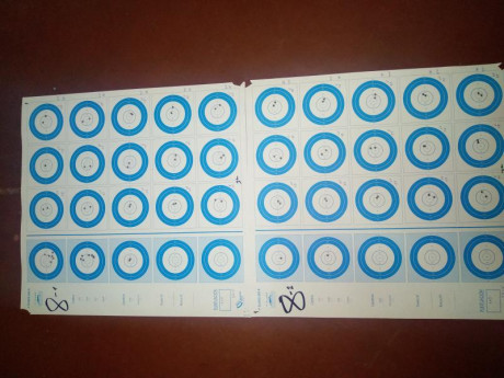 Que opinais de la walther kk500, algunos me dicen que esta en igualdad en precisión a las bleiker o grüing 00