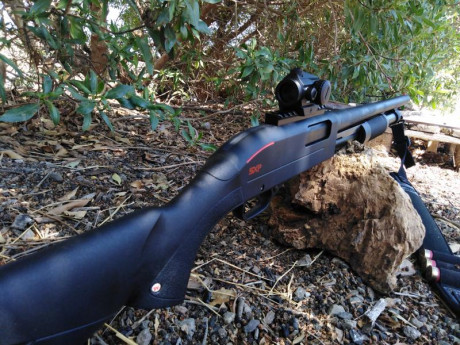 . 80