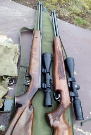 Bueno pues despues de estar dandole mil vueltas tenia ya decidido encargar la Fenix 400 compact star con 112