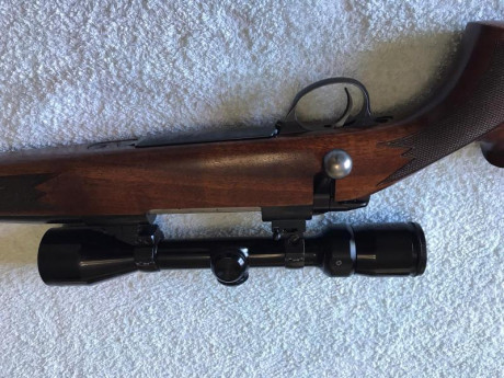 Buenos días ! Vendo por dejar las monterías un sako L691 en calibre 3006 , súper preciso , con monturas 21
