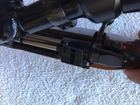 Buenos días ! Vendo por dejar las monterías un sako L691 en calibre 3006 , súper preciso , con monturas 20