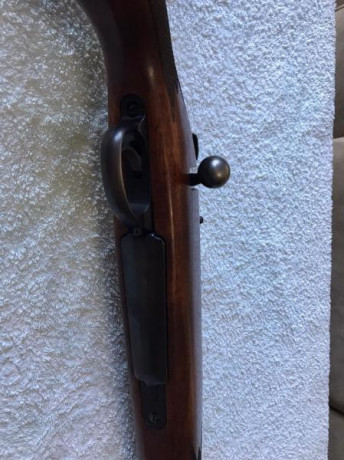 Buenos días ! Vendo por dejar las monterías un sako L691 en calibre 3006 , súper preciso , con monturas 42