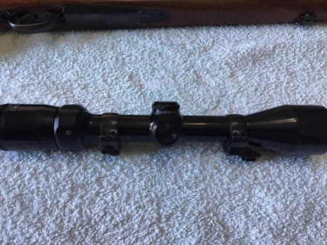 Buenos días ! Vendo por dejar las monterías un sako L691 en calibre 3006 , súper preciso , con monturas 41