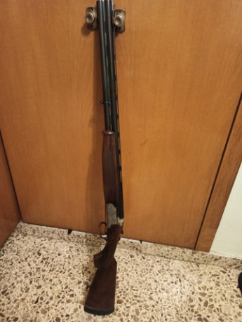 Edito este post antiguo para no crear otro asunto.

Hola, soy novato en el mundo de las armas. Voy a comprar 01