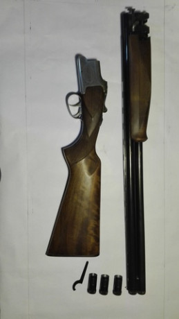 Edito este post antiguo para no crear otro asunto.

Hola, soy novato en el mundo de las armas. Voy a comprar 00