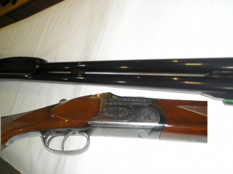 Edito este post antiguo para no crear otro asunto.

Hola, soy novato en el mundo de las armas. Voy a comprar 130