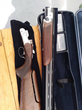 Vendo Beretta 694 sporting Zurdo.
Con B-fast original. Comprada hace 4 meses, aproximadamente. Posibilidad 12