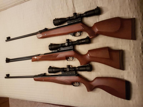 Esta es una pregunta para los que posean o conozcan estas carabinas.
Tanto la HW57 como la HW77 y HW97 161