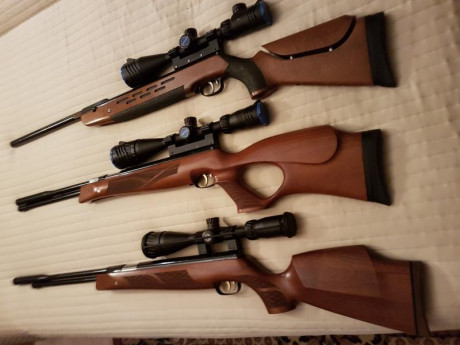 Esta es una pregunta para los que posean o conozcan estas carabinas.
Tanto la HW57 como la HW77 y HW97 160
