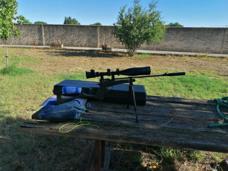 Buenas compañeros, 

Comencé con el tiro con pistola a 10 metros este año, con una Steyr EVO 10 con la 61