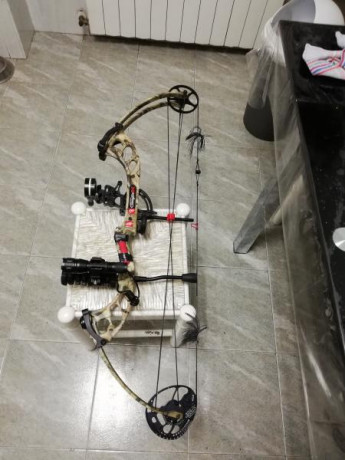 Vendo arco de caza de poleas por cambio de modalidad. Casi sin uso, impecable, con su linterna, portaflechaspunto 11