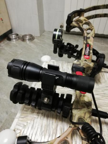 Vendo arco de caza de poleas por cambio de modalidad. Casi sin uso, impecable, con su linterna, portaflechaspunto 10