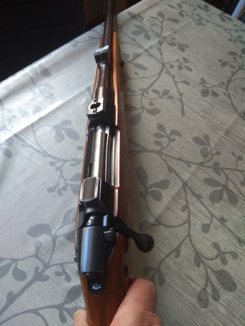 CZ 550 MAGNUN del 375 HH, con Appel y lomo regulable.
Estado impecable.
El arma está en León y hay regalo 00