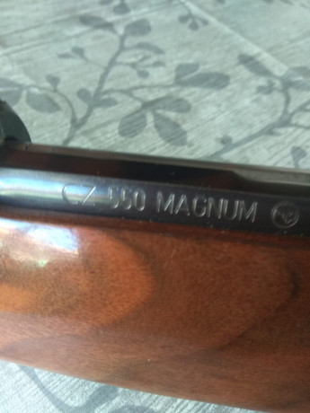 CZ 550 MAGNUN del 375 HH, con Appel y lomo regulable.
Estado impecable.
El arma está en León y hay regalo 12