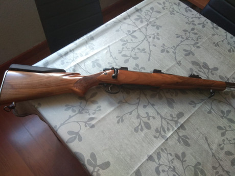 CZ 550 MAGNUN del 375 HH, con Appel y lomo regulable.
Estado impecable.
El arma está en León y hay regalo 10