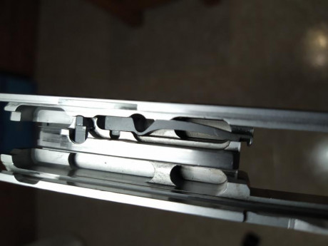 Hola a todos, 
Pues eso, busco uña extractora para Sig Sauer Xfive 9mm para. 
Gracias y saludos  :birra^: 61