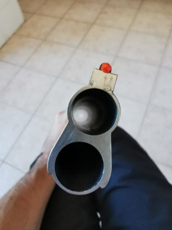 Buenas compañeros. Soy nuevo en esto de las armas y decidí comprar una escopeta para iniciarme en esto 150