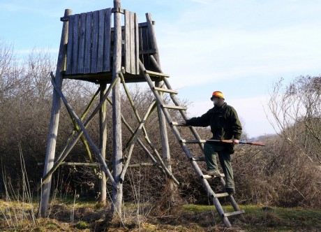 ¿Alguien sabe algo de este foro, a nivel Europeo, sobre la caza?

Un saludo.

 http://yeswehunt.eu/es/pre-home 21