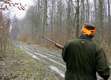 ¿Alguien sabe algo de este foro, a nivel Europeo, sobre la caza?

Un saludo.

 http://yeswehunt.eu/es/pre-home 20