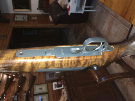 Hola, os comento. Puse el rifle apoyado verticalmente, se resbaló y se partió la madera de la culata y 10
