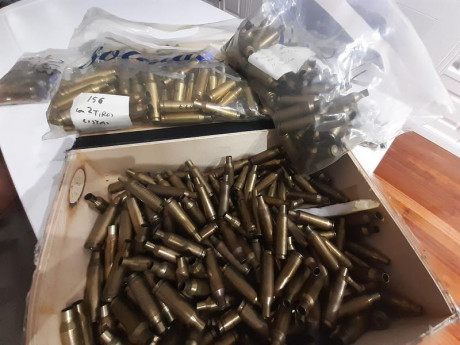 300 vainas con 3 tiros 
Y 156 con 2 tiros.
Todas norma.

6XC

Total 450 vainas

160€ gastos de envio incluidos 00