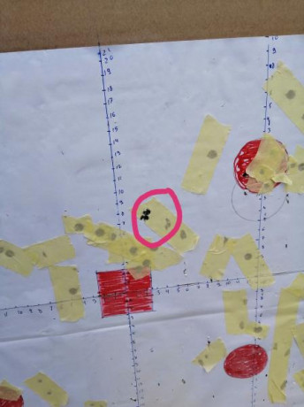 ¿Nos animamos a mostrar blancos de nuestros rifles de caza habituales? Con la munición que habitualmente 70