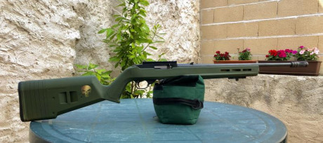 Cambio destroyer del 9pb por carabina de 22 para precision o tipo mp15
Tiene una falla la madera pero 21