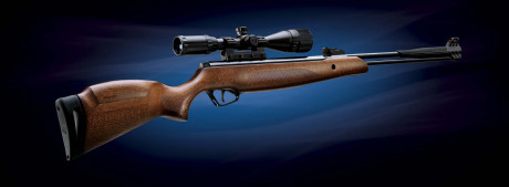 https://escopetasdebalines.com/carabinas/stoeger-f40-wood/

Hola he comprado  me llegara en breve y pondré 70