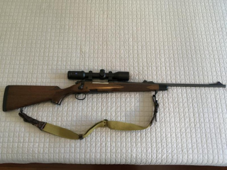 Por no utilizar, pongo a la venta este rifle de magnífica precisión:

REMINGTON 700 BDL en calibre 30.06

Muy 02