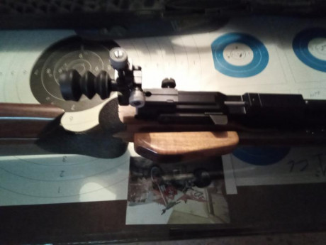 Hola buenas, pues que mi hijo ya es más mayor y no tira aire desde hace mucho . 
Vendo estupenda carabina 01