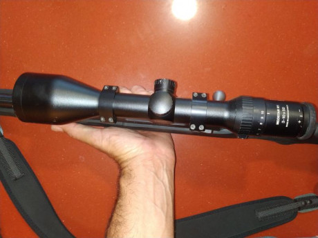 Se venden estos dos visores:
- NIKON MONARCH 1 5-6x42 con retícula iluminada en rojo o en verde y tubo 01
