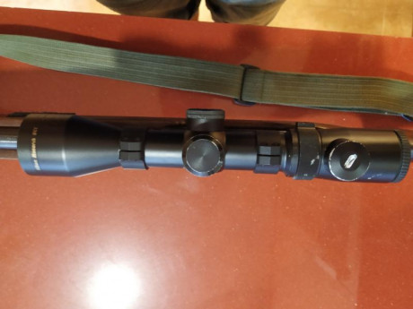 Se venden estos dos visores:
- NIKON MONARCH 1 5-6x42 con retícula iluminada en rojo o en verde y tubo 12