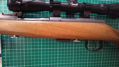 Hola; buenos días. Soy motero y ando buscando una carabina 22 lr desmontable para poder transportarla 110