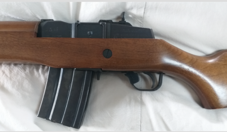 Ruger Mini 30, en calibre 7.62 x39 
Manual, acción tiro a tiro, como manda el reglamento actual. 

PRECIO 00