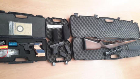 Vendo por cese afición y baja de licencia las siguientes armas,  todas en perfecto estado, si roces ni 02