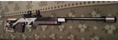Que opinais de la walther kk500, algunos me dicen que esta en igualdad en precisión a las bleiker o grüing 60