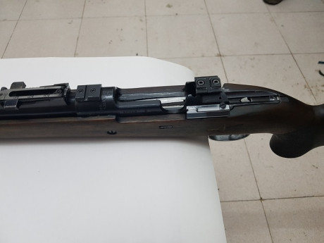 Hola, un compañero vende un rifle Carl Gustaf CG63 cal 6,5x55 por 500€ guiado en D 
RETIRADO DE LA VENTA.
Saludos. 20