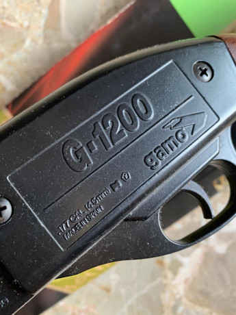 Vendo carabina Gamo G-1200, en muy buen estado.
Es una carabina a CO2 de repetición, con cargador para 00