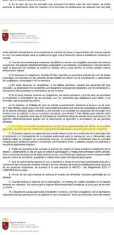 Hola voy al grano. 
Tengo un amigo que quiere hacer un rececho de algo por menos de 250 euros. 
Por ese 100