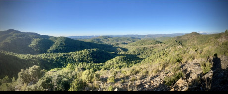 Pues tengo esa duda , en una zona de monte del coto hay un ganado de cabras estabulado...aunque a veces 60