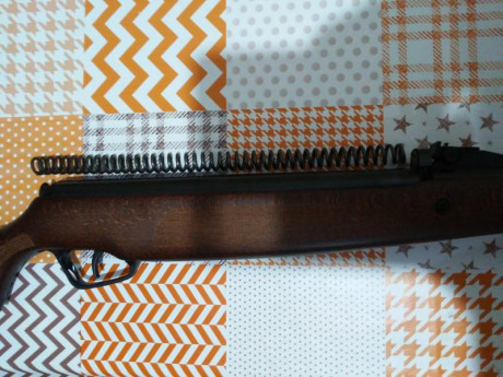 https://escopetasdebalines.com/carabinas/stoeger-f40-wood/

Hola he comprado  me llegara en breve y pondré 120