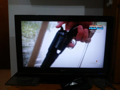 Hola hay una serie de televisión  en la que se cazan Caimanes en los pantanos de florida estados unidos.

en 01
